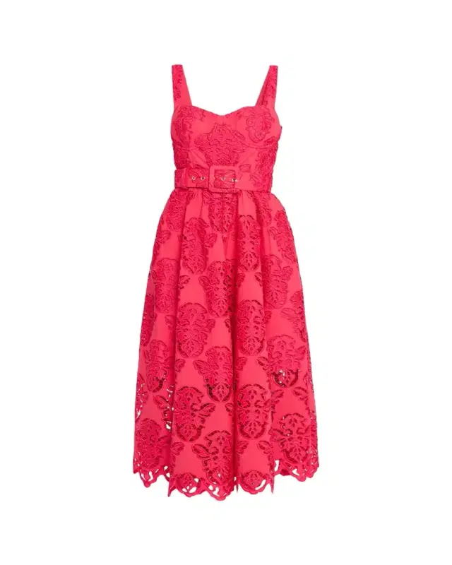 Calypso Embroidered A-Line Midi Dress
