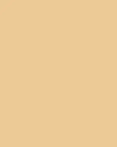 Eugenia Kim Emmanuelle Packable Open-Weave Fedora Hat | Thumbnail 4 Eugenia Kim Emmanuelle Packable Open-Weave Fedora Hat | Thumbnail 4