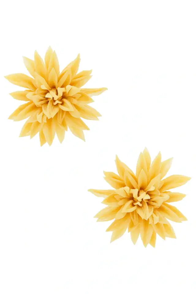 Dahlia Earring