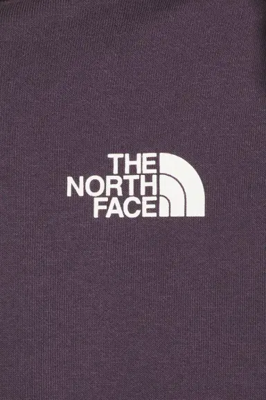 The North Face Evolution Box NSE Regular Hoodie | Thumbnail 8