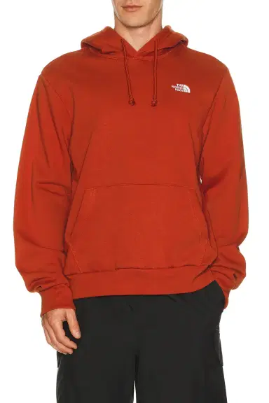 The North Face Evolution Simple Dome Regular Hoodie | Thumbnail 3