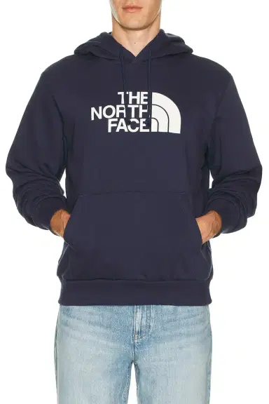 The North Face Evolution Half Dome Regular Hoodie | Thumbnail 3