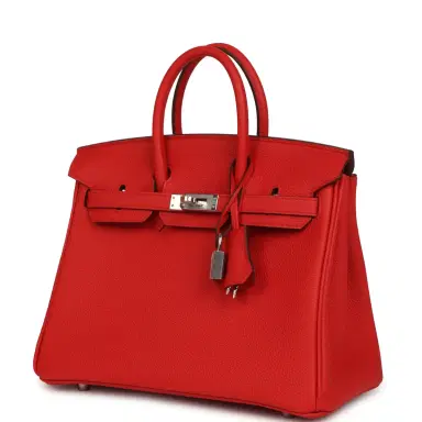 HERMÈS Hermes Birkin 25 Rouge de Coeur Togo Palladium Hardware | Thumbnail 3