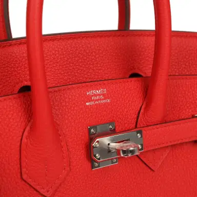 HERMÈS Hermes Birkin 25 Rouge de Coeur Togo Palladium Hardware | Thumbnail 7