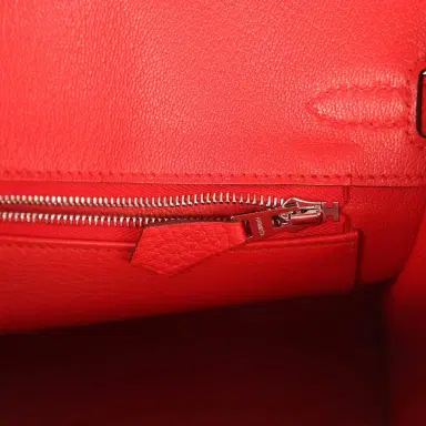 HERMÈS Hermes Birkin 25 Rouge de Coeur Togo Palladium Hardware | Thumbnail 9