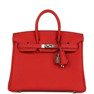 HERMÈS Hermes Birkin 25 Rouge de Coeur Togo Palladium Hardware | Thumbnail 1