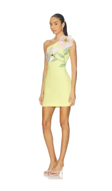 Elliatt Hope Mini Dress | Thumbnail 2
