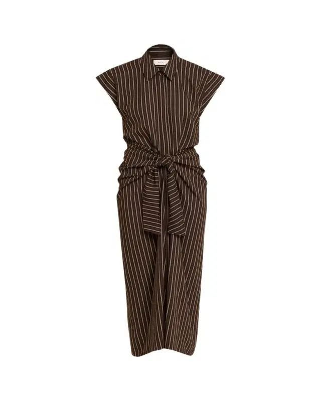 Emilia Pinstripe Draped Tie-Waist Shirtdress