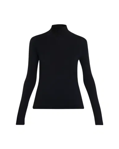 A.L.C. Elyse Wool Turtleneck Sweater | Thumbnail 1 A.L.C. Elyse Wool Turtleneck Sweater | Thumbnail 1