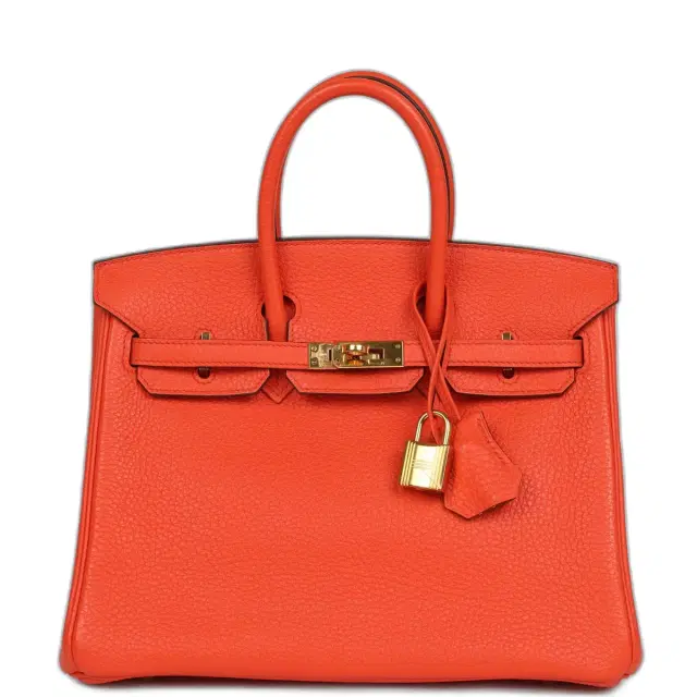 hermes Pre-owned Hermes Birkin 25 Orange Poppy Togo Gold Hardware