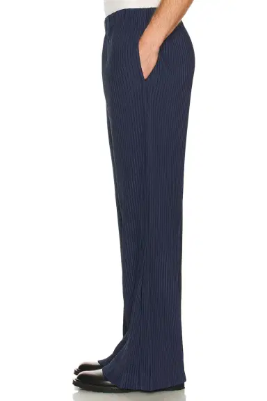 Homme Plissé Issey Miyake Tailored Pleats 1 Pants | Thumbnail 2