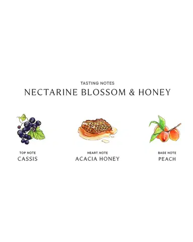 Jo Malone London 8.5 oz. Nectarine Blossom & Honey Body & Hand Wash | Thumbnail 2 Jo Malone London 8.5 oz. Nectarine Blossom & Honey Body & Hand Wash | Thumbnail 2