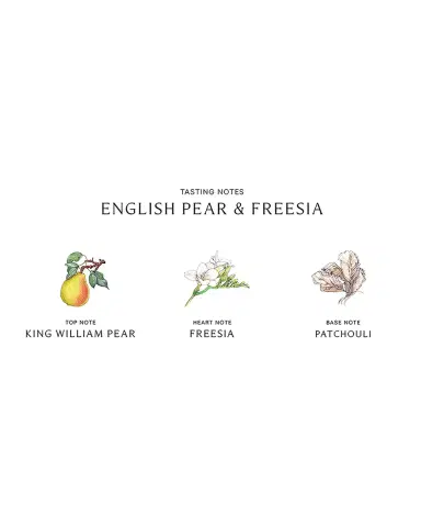 Jo Malone London 8.5 oz. English Pear & Freesia Body & Hand Wash | Thumbnail 2