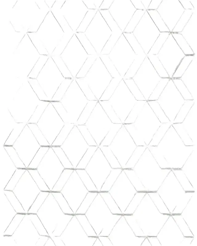 Exquisite Rugs Brunello Hand-Loomed Light Silver Rug