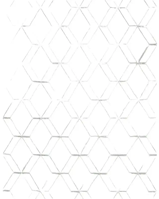 Exquisite Rugs Brunello Hand-Loomed Light Silver Rug