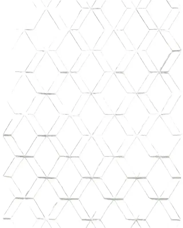Exquisite Rugs Brunello Hand-Loomed Light Silver Rug