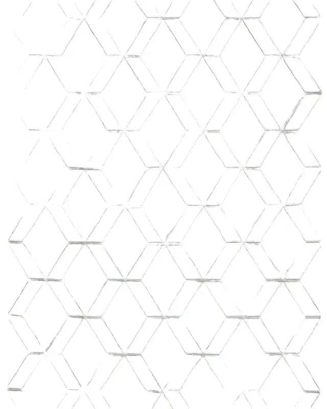 Exquisite Rugs Brunello Hand-Loomed Light Silver Rug