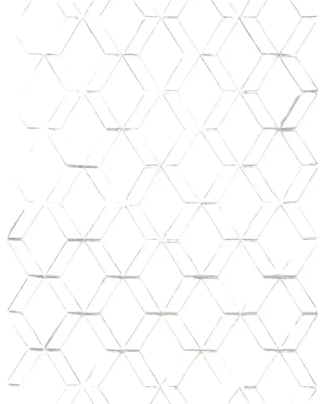Exquisite Rugs Brunello Hand-Loomed Light Silver Rug