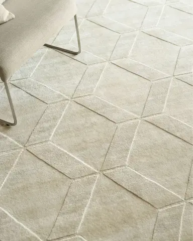 Exquisite Rugs Brunello Hand-Loomed Light Beige Rug | Thumbnail 4 Exquisite Rugs Brunello Hand-Loomed Light Beige Rug | Thumbnail 4