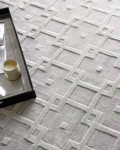 Exquisite Rugs Camora Hand-Loomed Silver Rug, 6 ' x 9 ' | Thumbnail 5 Exquisite Rugs Camora Hand-Loomed Silver Rug, 6 ' x 9 ' | Thumbnail 5