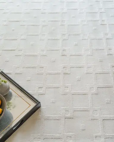 Exquisite Rugs Camora Hand-Loomed White Rug, 4 ' x 6 ' | Thumbnail 7 Exquisite Rugs Camora Hand-Loomed White Rug, 4 ' x 6 ' | Thumbnail 7