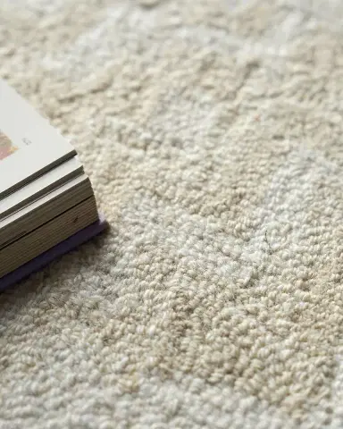 Exquisite Rugs Veneta Hand-Tufted Beige Rug, 10 ' x 14 ' | Thumbnail 6