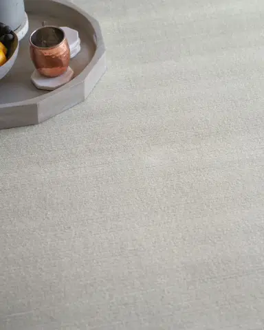 Exquisite Rugs Pavia Hand-Loomed Silver Rug, 4 ' x 6 ' | Thumbnail 7