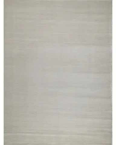 Exquisite Rugs Pavia Hand-Loomed Silver Rug, 4 ' x 6 ' | Thumbnail 1