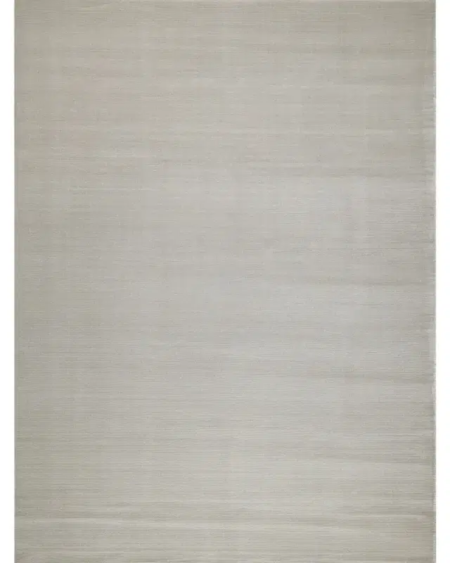 Exquisite Rugs Pavia Hand-Loomed Silver Rug, 10 ' x 14 '