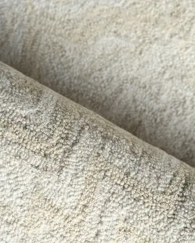 Exquisite Rugs Veneta Hand-Tufted Beige Rug, 6 ' x 9 ' | Thumbnail 4