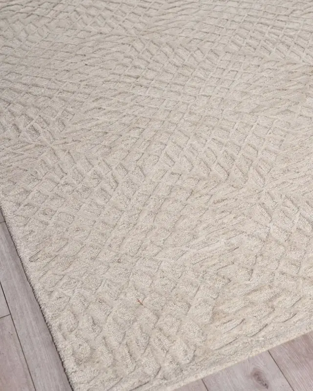 Exquisite Rugs Sandro Hand-Tufted Ivory Rug
