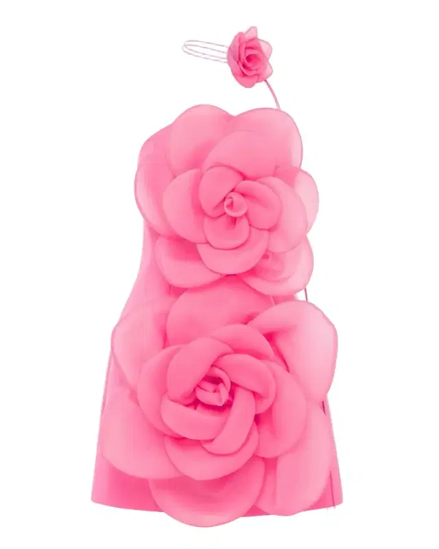 Floret Strapless Floral Applique Mini Dress