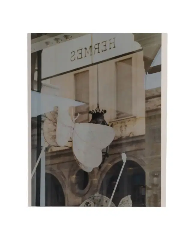 RFA Fine Art "Turin Hermes I" Print Photography Art by Andrea Hillebrand