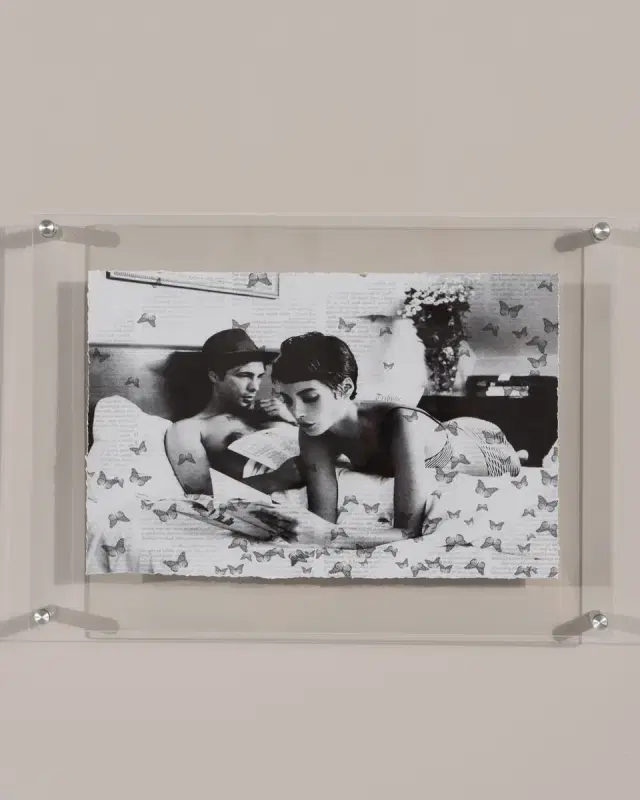 RFA Fine Art "Butterfly Stories" Print Photography Art in Plexi Frame
