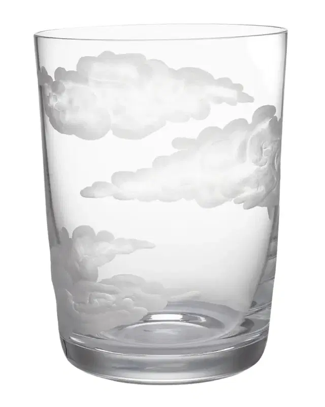 Jonathan Hansen In The Clouds Tumbler