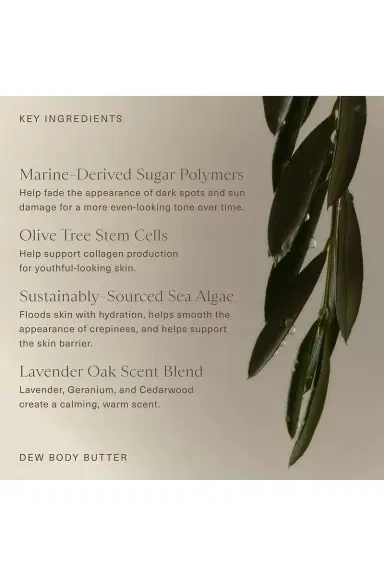 Oak Essentials Dew Body Butter | Thumbnail 8