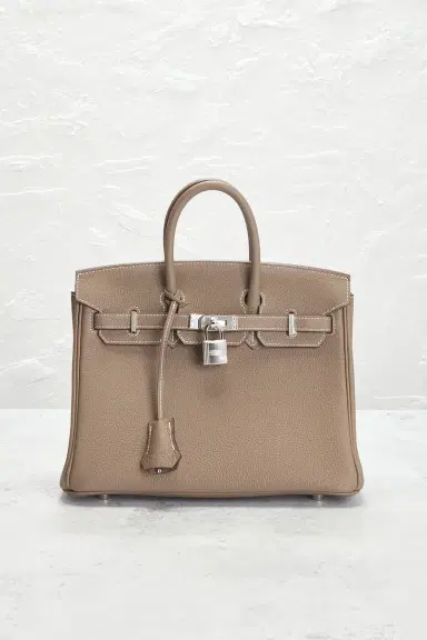 HERMÈS Hermes Togo Birkin 25 Handbag | Thumbnail 4