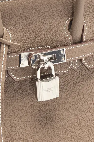 HERMÈS Hermes Togo Birkin 25 Handbag | Thumbnail 7