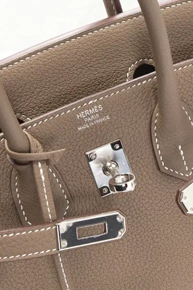 HERMÈS Hermes Togo Birkin 25 Handbag | Thumbnail 8