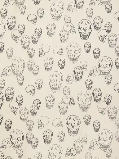 Alexander McQueen Women's Skull Silk Chiffon Scarf - Ivory Black | Thumbnail 4 Alexander McQueen Women's Skull Silk Chiffon Scarf - Ivory Black | Thumbnail 4