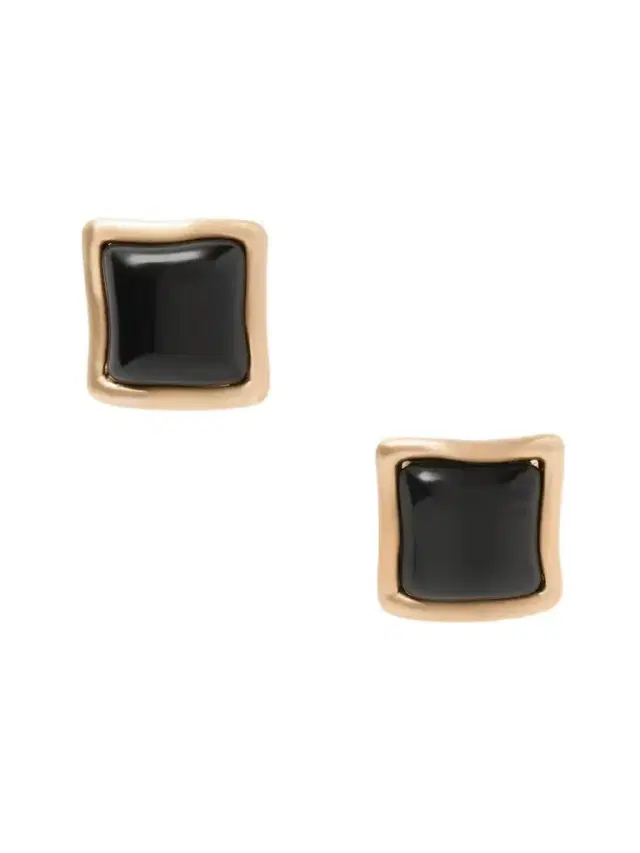 Suni Gold-tone And Resin Earrings
