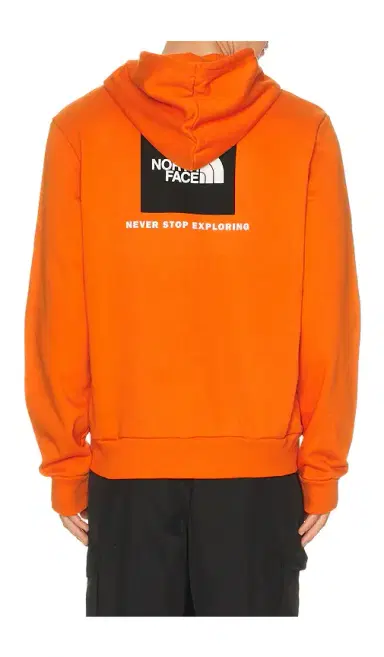 The North Face Evolution Box NSE Regular Hoodie | Thumbnail 2