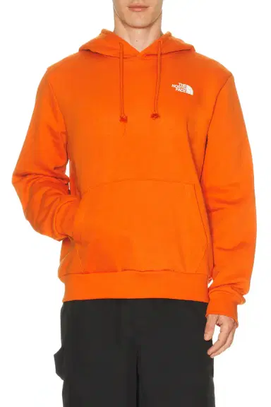 The North Face Evolution Box NSE Regular Hoodie | Thumbnail 3