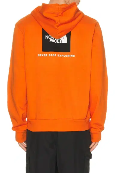 The North Face Evolution Box NSE Regular Hoodie | Thumbnail 4