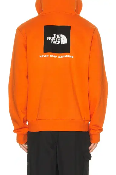 The North Face Evolution Box NSE Regular Hoodie | Thumbnail 5