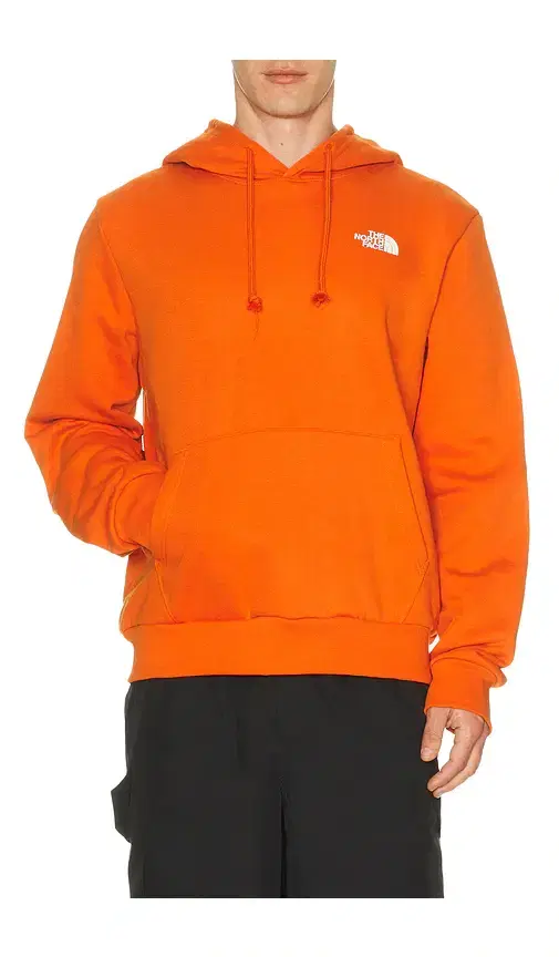 Evolution Box NSE Regular Hoodie