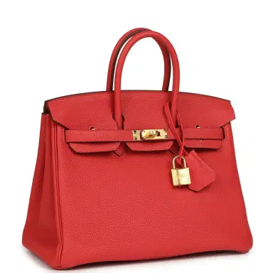 HERMÈS Pre-owned Hermes Birkin 25 Rouge Pivone Togo Gold Hardware | Thumbnail 2