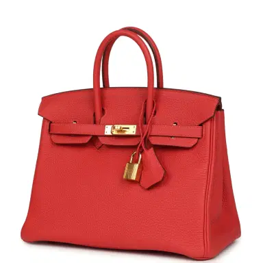 HERMÈS Pre-owned Hermes Birkin 25 Rouge Pivone Togo Gold Hardware | Thumbnail 5