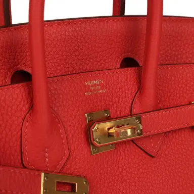 HERMÈS Pre-owned Hermes Birkin 25 Rouge Pivone Togo Gold Hardware | Thumbnail 7