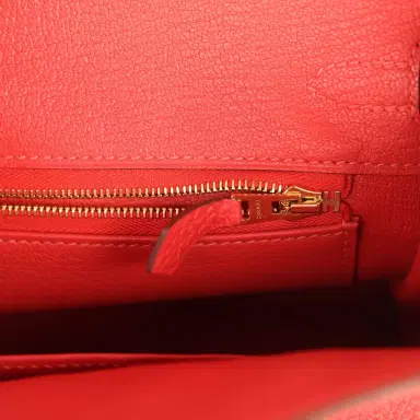 HERMÈS Pre-owned Hermes Birkin 25 Rouge Pivone Togo Gold Hardware | Thumbnail 9